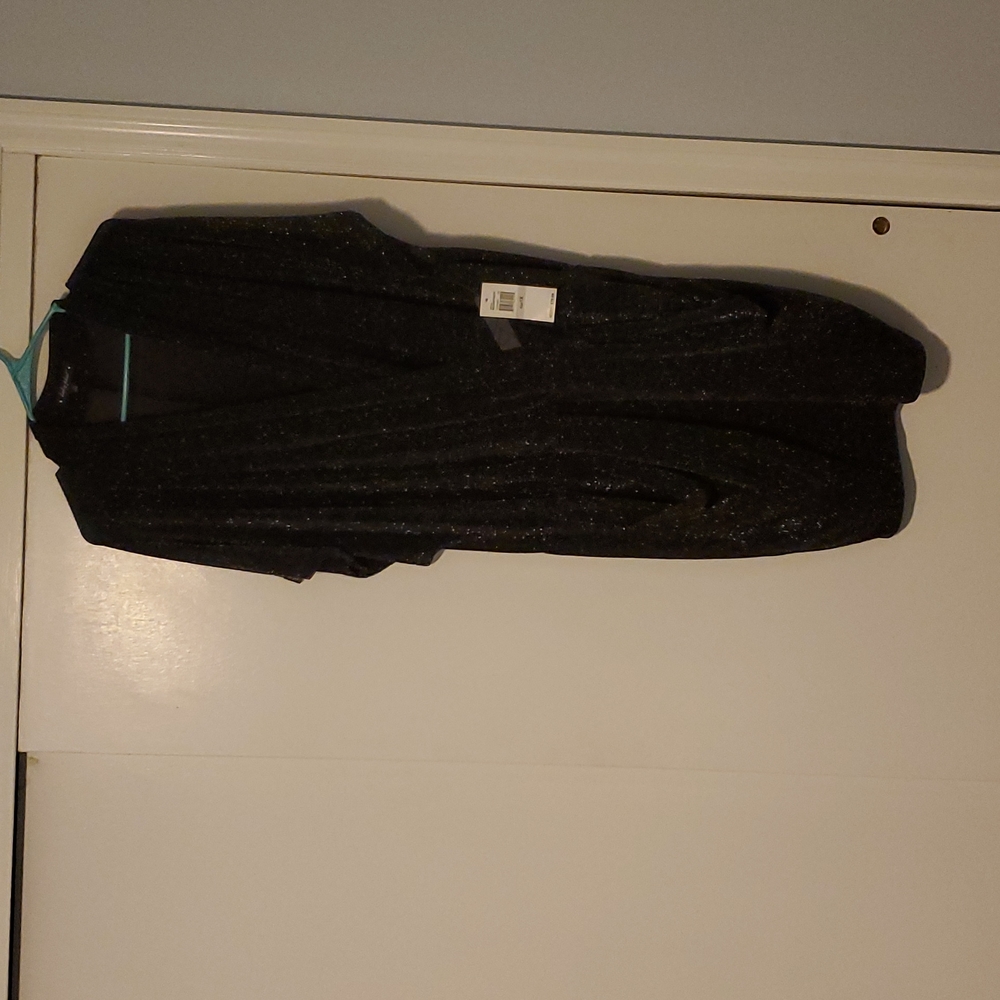 Baby Phat, X-Large, Black/Silver Evening Dress